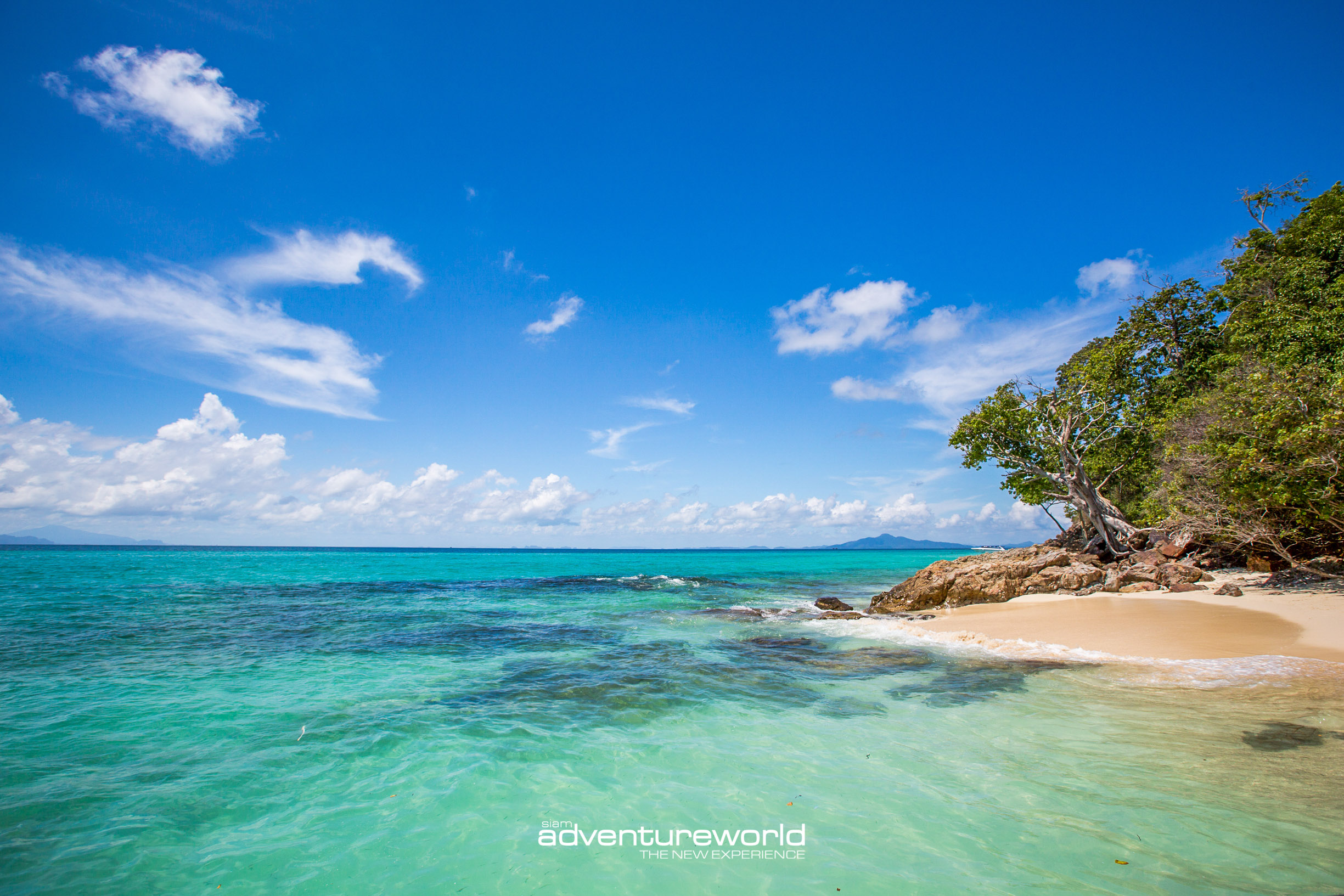 Phi Phi Island Private Boat Tour