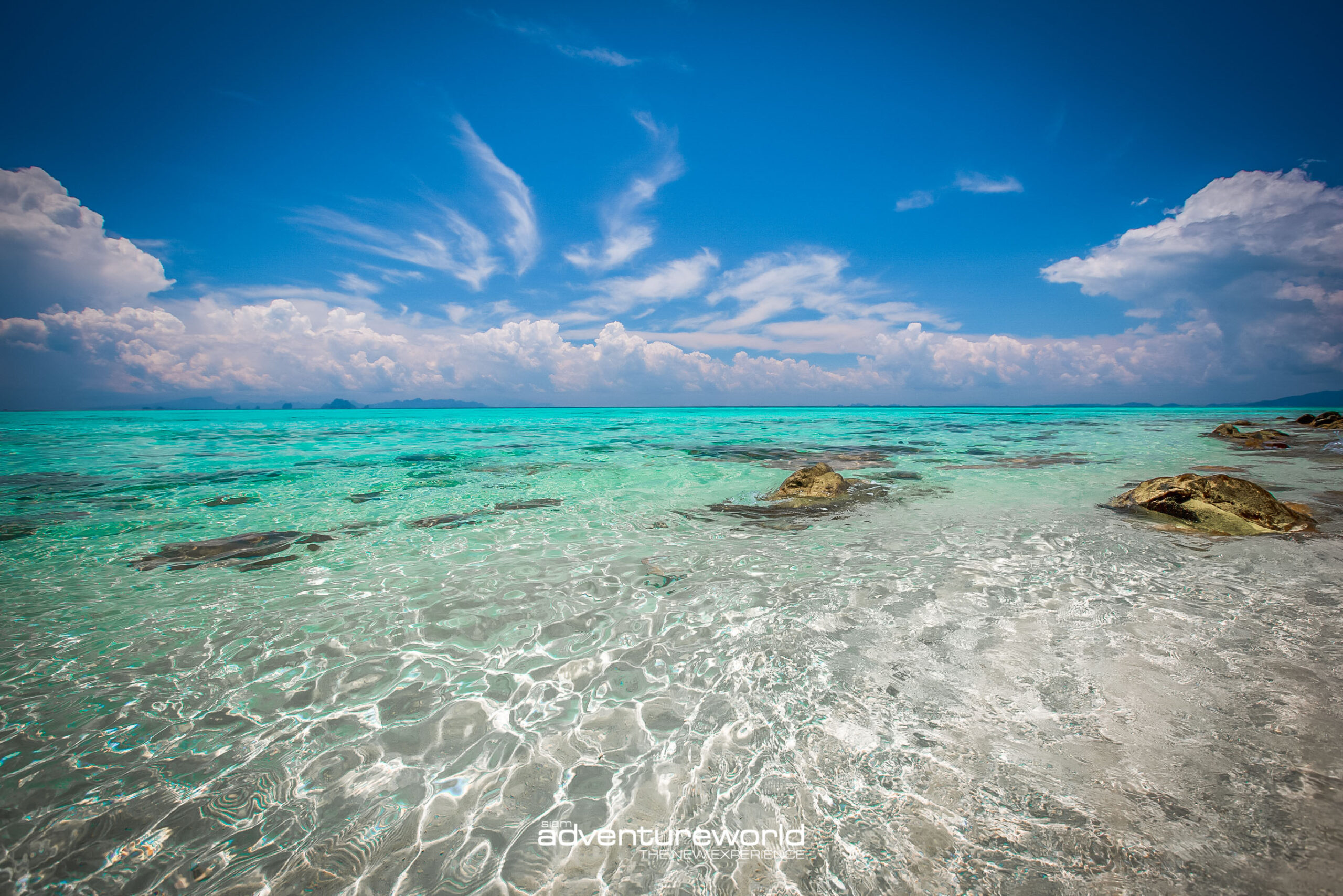 Phi Phi Island Private Boat Tour