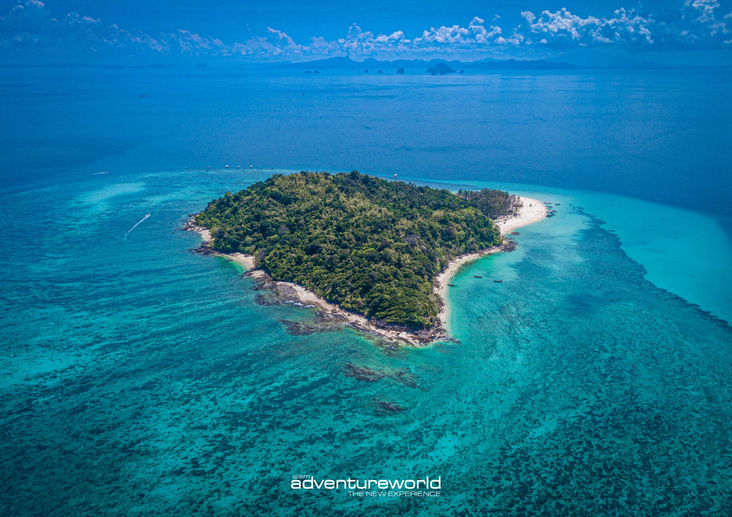 Phi Phi Island Private Boat Tour