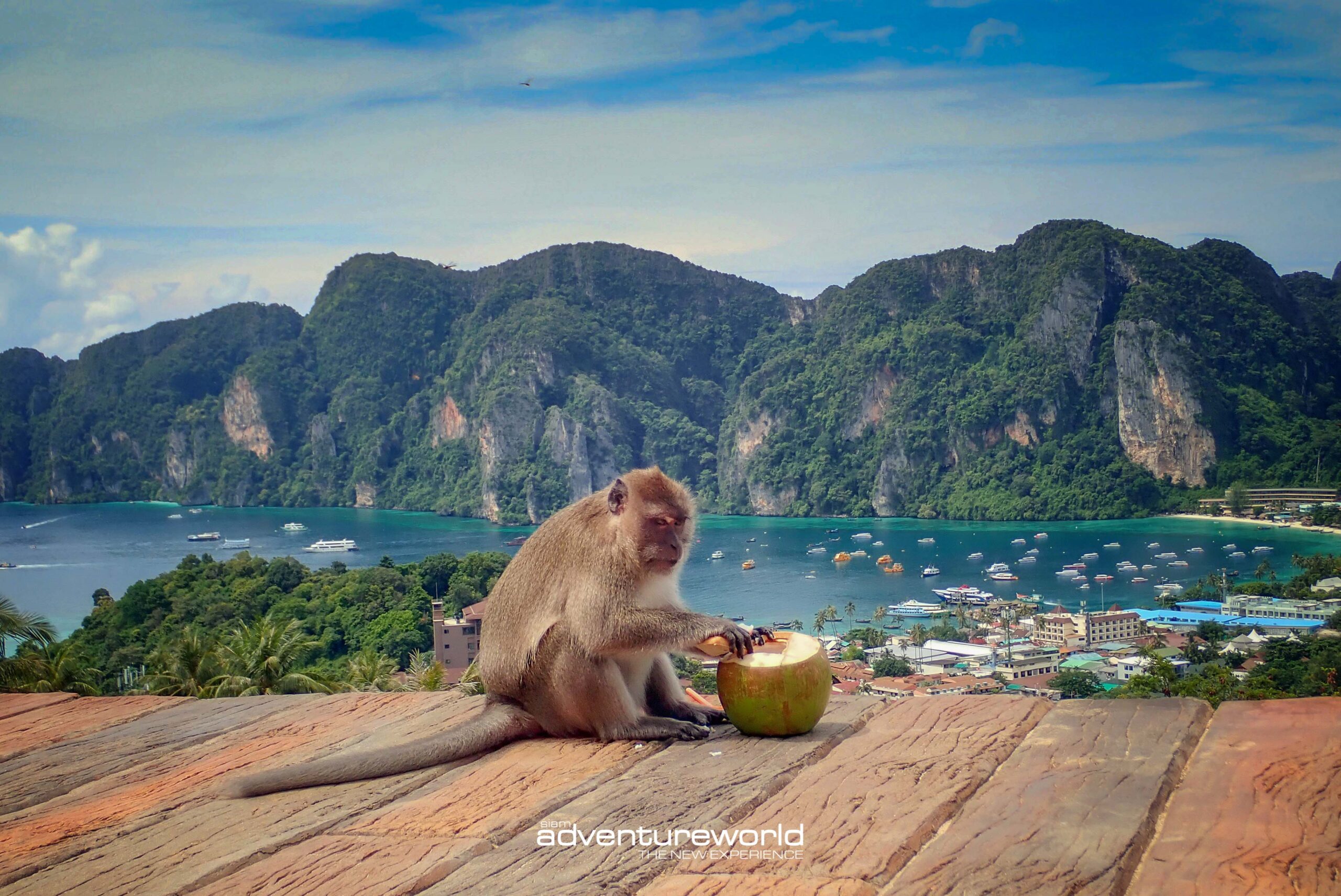 Phi Phi Island Private Boat Tour