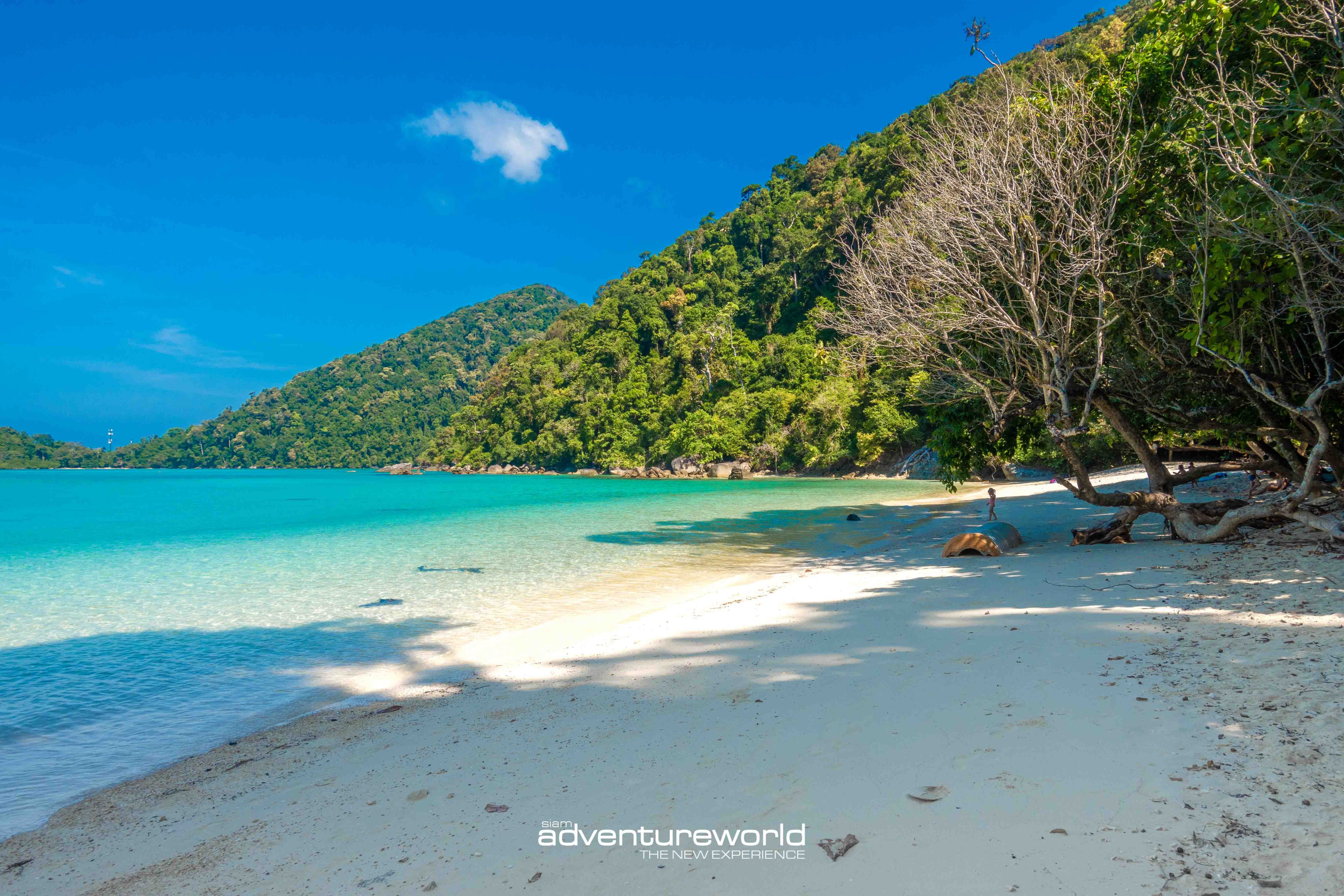 Surin Island Tour