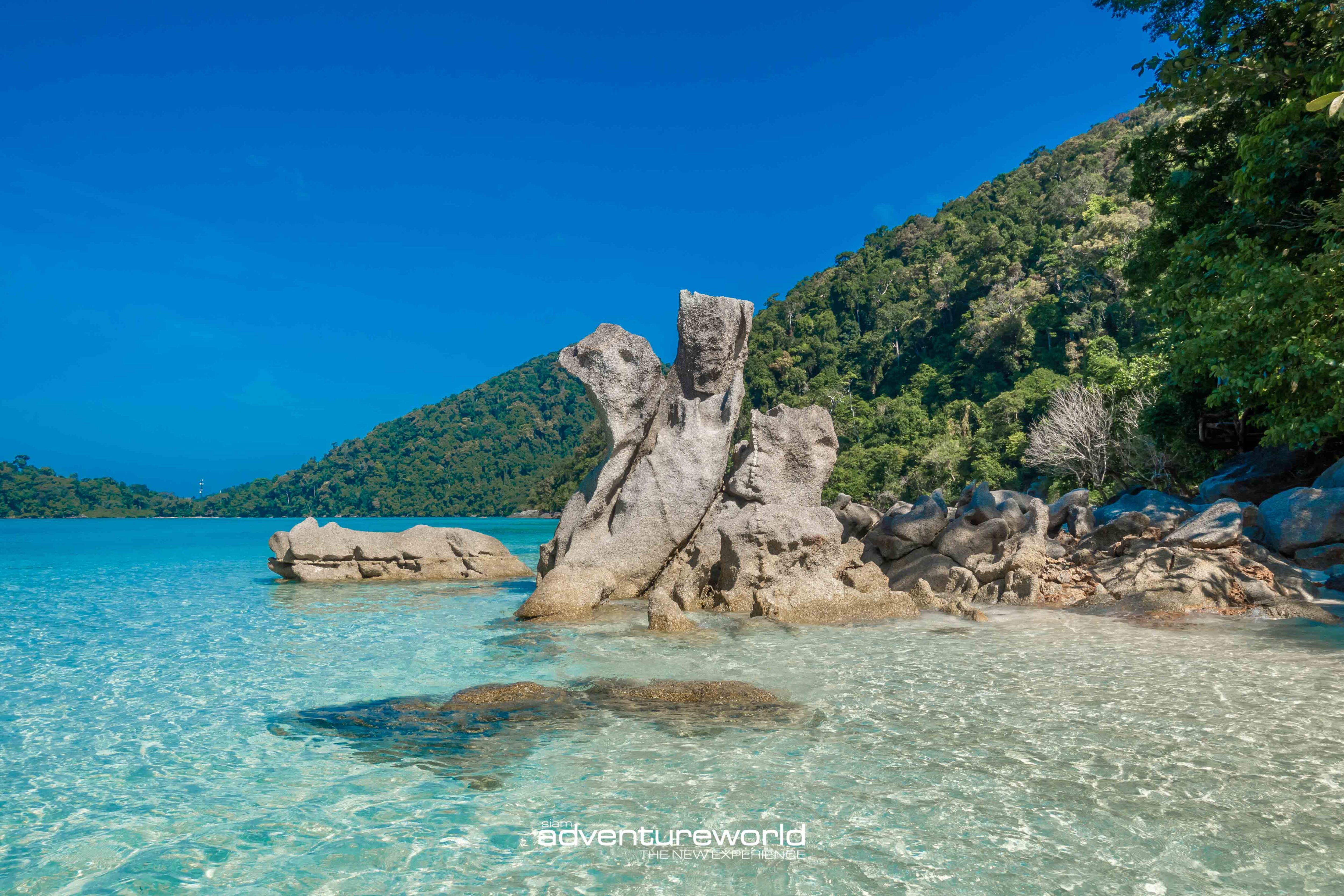 Surin Island Tour