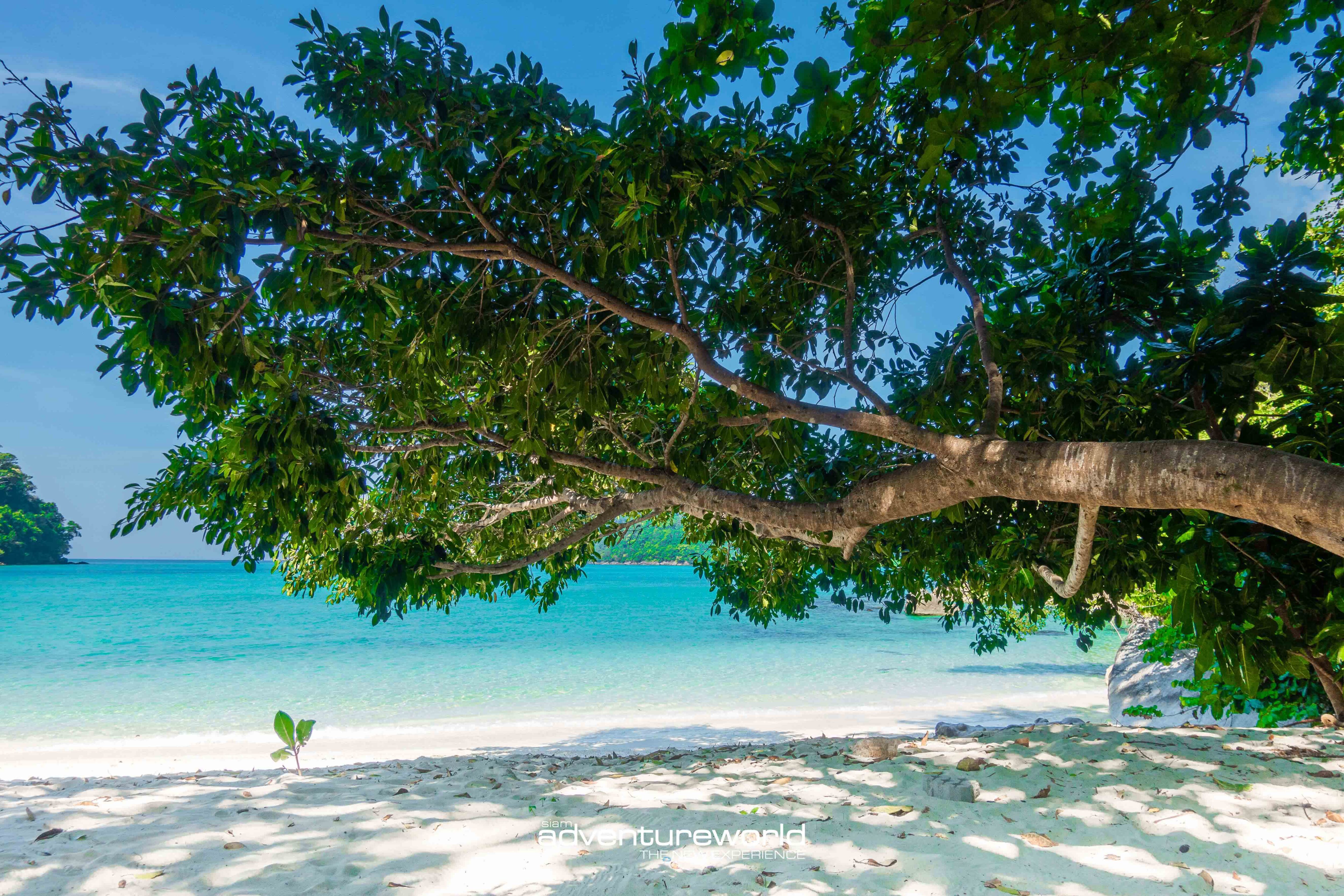 Surin Island Tour