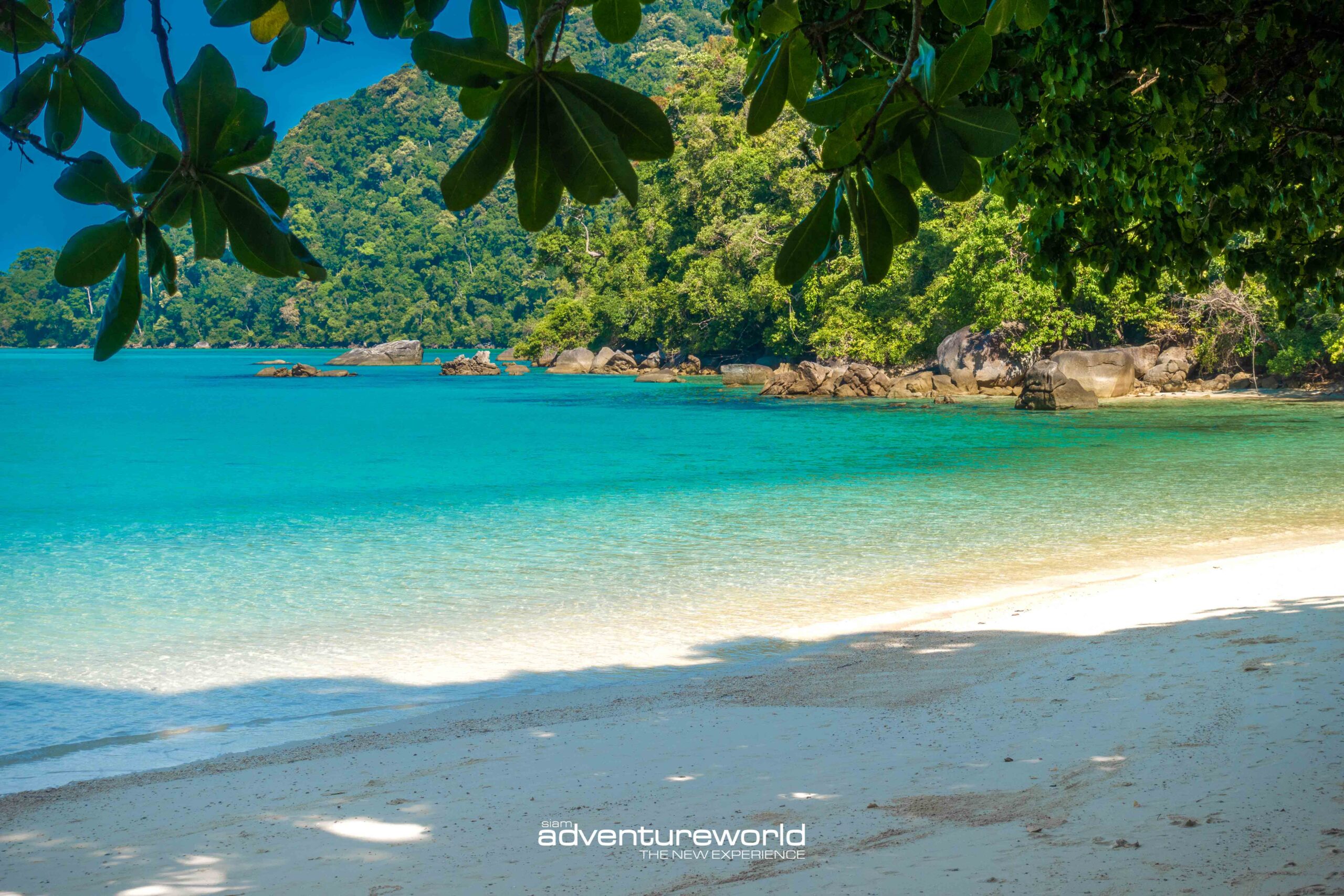 Surin Islands Private Tour