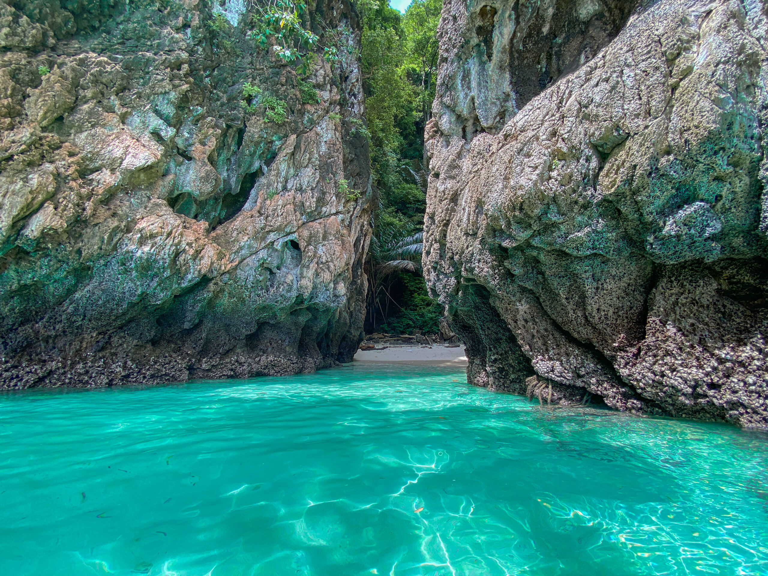 Phi Phi Island Private Boat Tour