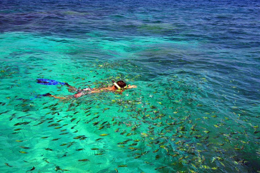 3 Snorkeling