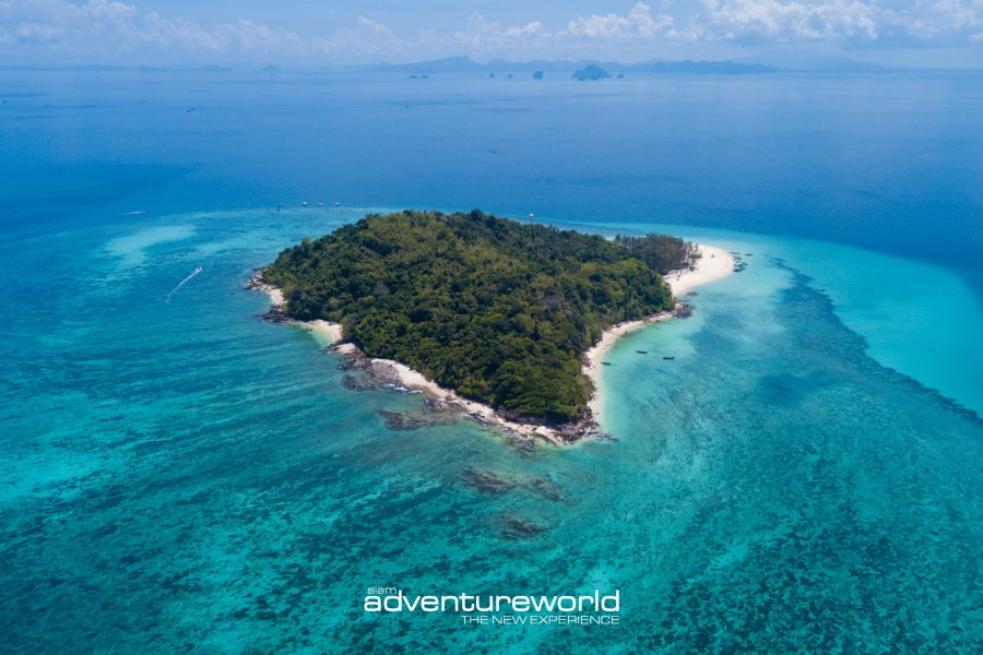 Bamboo island