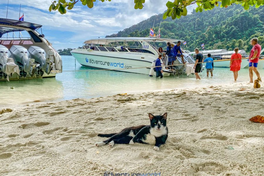 Surin Island Tour