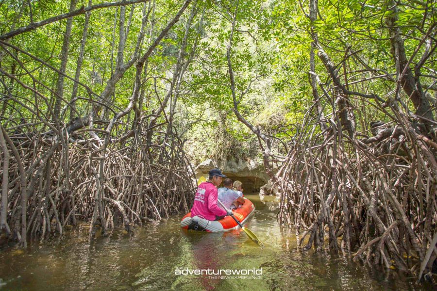 James Bond Island Tour