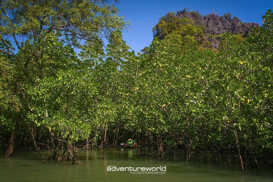 James Bond Island Tour