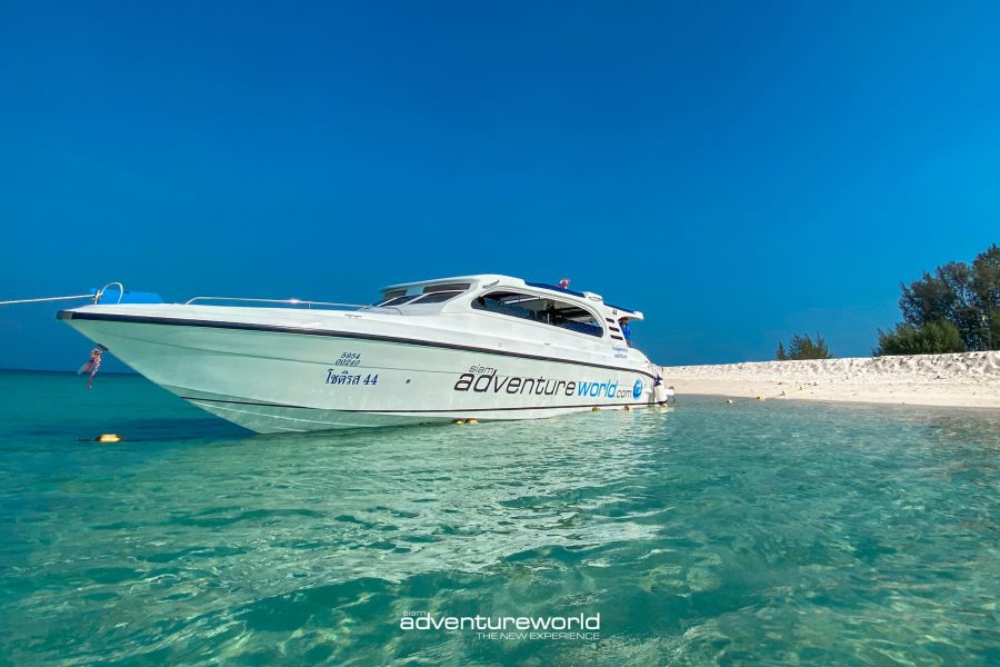Phi Phi Island Private Tour