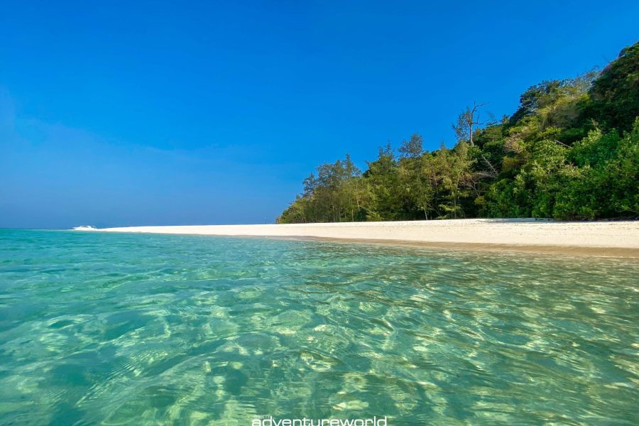 Bamboo Island