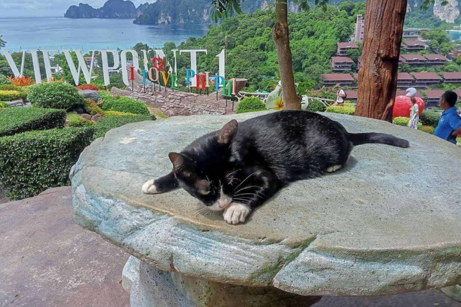 PHI PHI ISLAND TOUR FROM PHUKET