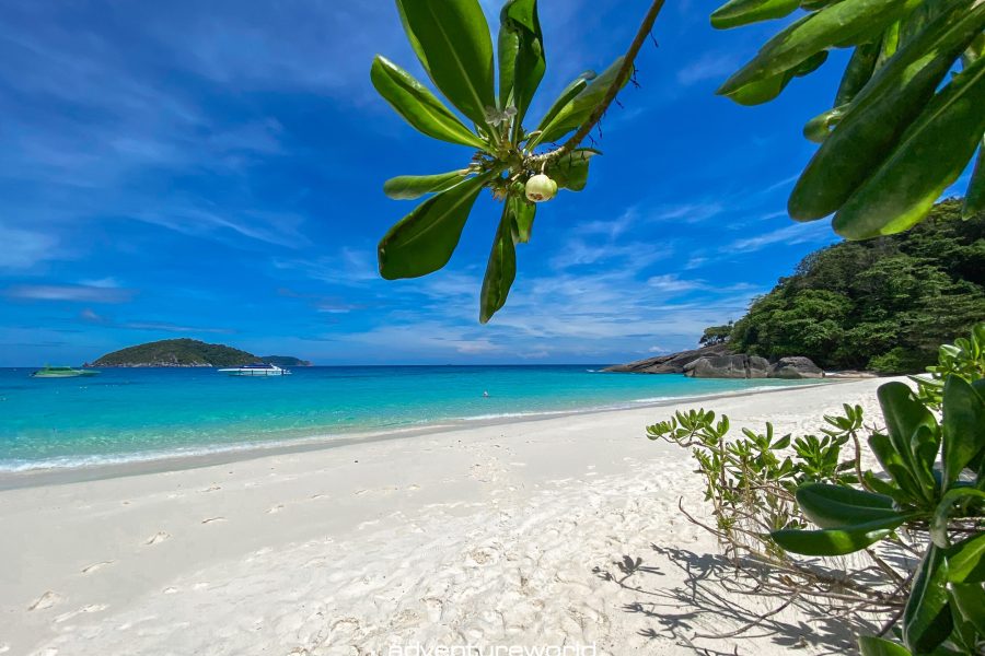 Similan Island Tour from Phuket