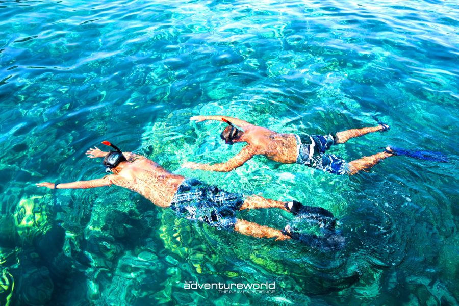 Surin Islands Private Tour